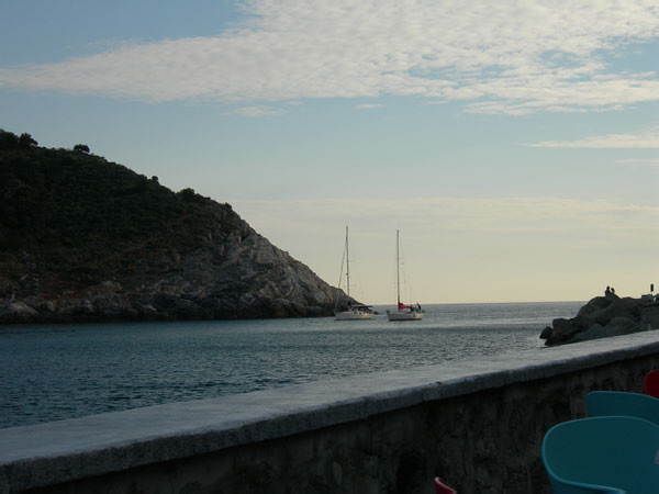 DSCN2650