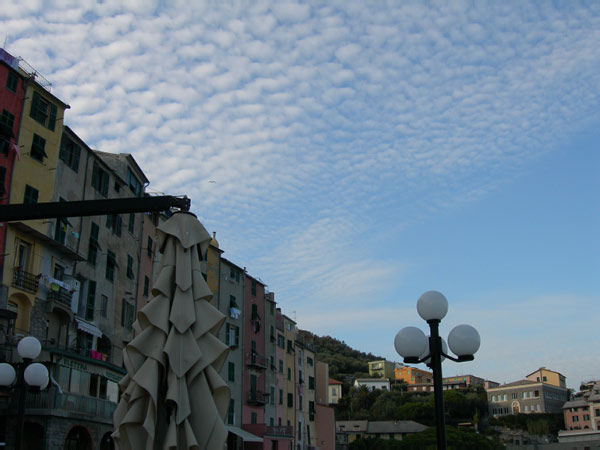 DSCN2652