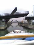 picture016